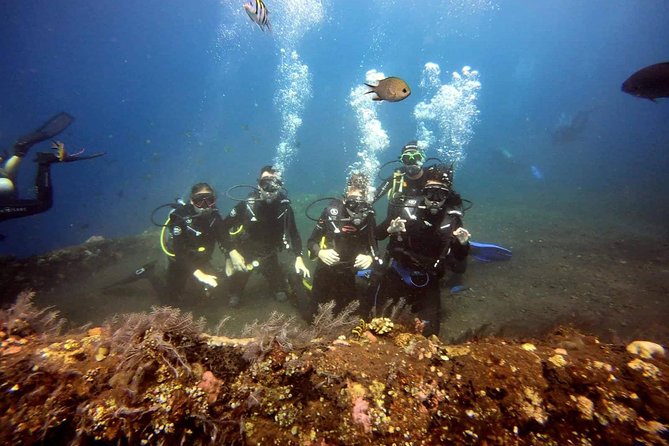 USS Liberty Shipwreck Scuba Diving at Tulamben Bali - Marine life, photography, and what you may actually see