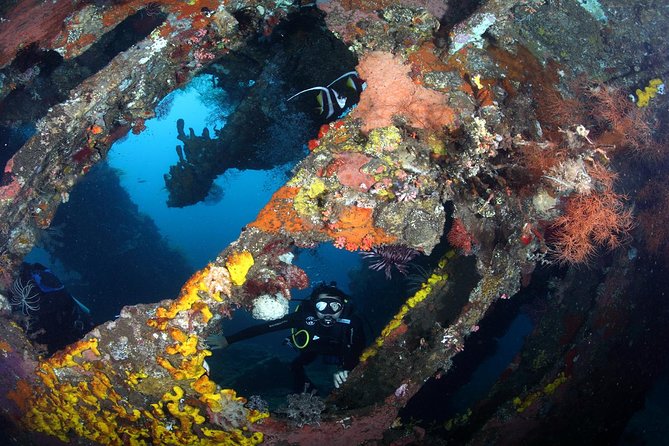 USS Liberty Shipwreck Scuba Diving at Tulamben Bali - What the price includes at $109.50
