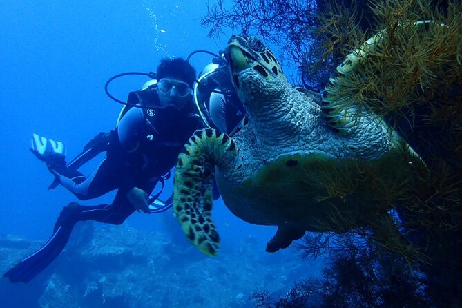 USS Liberty Shipwreck Scuba Diving at Tulamben Bali - Getting equipped beside the beach
