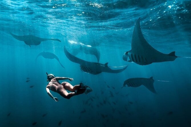 VIP Private Boat to Nusa Penida: Snorkeling with Mantas + Land Tour Adventure - Crystal Bay for a calmer afternoon stop