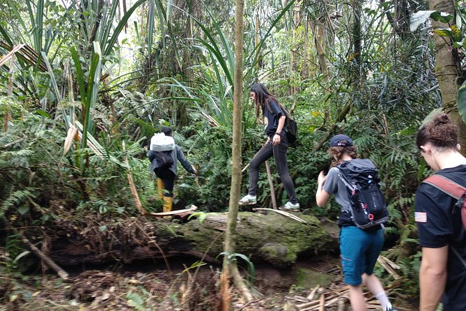 volcano hike and jungle trekking adventure - Cooling off at the waterfall