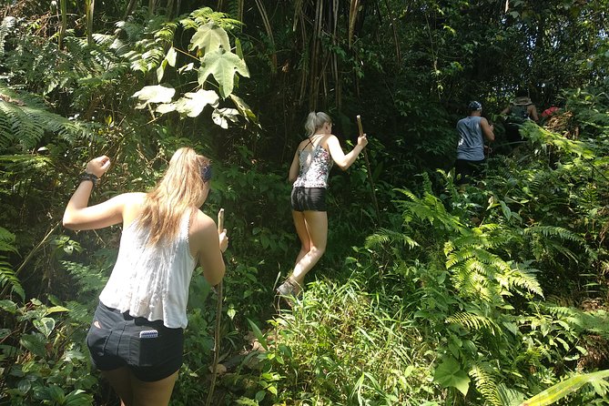 volcano hike and jungle trekking adventure - The day’s practical rhythm