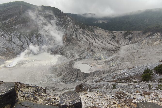 Volcano, Hot Spring, Tea Factory, rice fields and Coffee Tour - Rice fields and village life in Subang