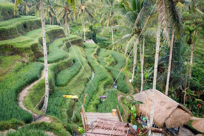 Water Rafting adventure with Jungle Swing & rice terraces - From Seminyak to the green Ayung River