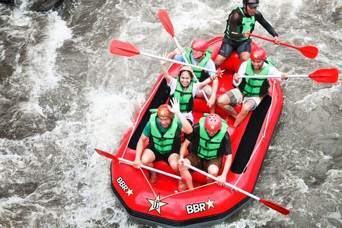 Water Rafting adventure with Jungle Swing & rice terraces - The two-hour Ayung River rafting run