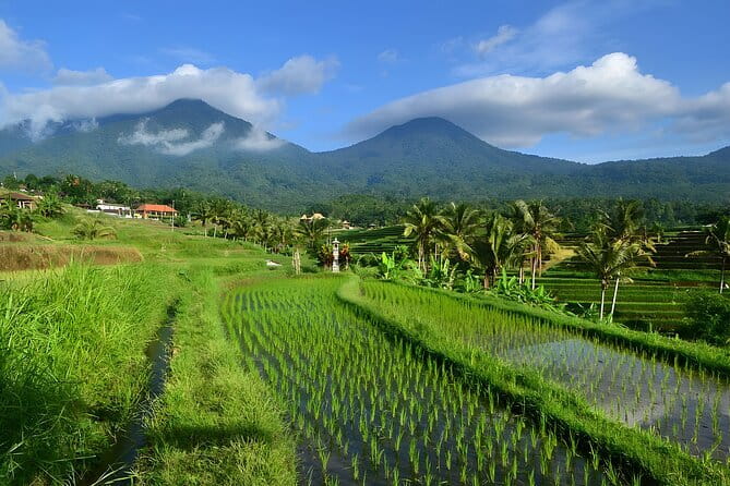 Waterfall Tour: North Bali Best Waterfalls - Who should book this waterfall day?