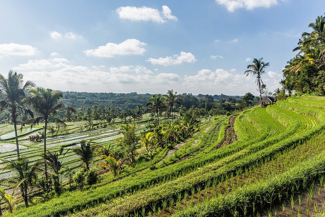 West Bali Tour: Taman Ayun, Ulun Danu Beratan, Jatiluwih Rice Terrace, Tanah Lot - The private vehicle makes the long day easier