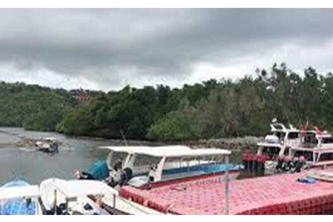 West Nusa Penida Full-Day Private Tour - The port and the schedule need realistic expectations