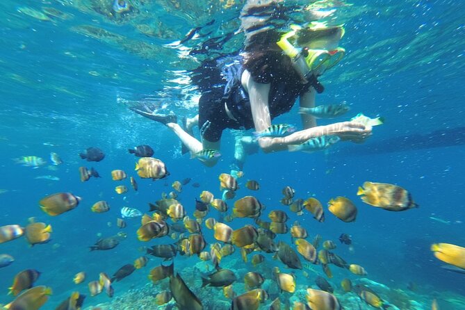 West Nusa Penida With Snorkeling Private Guided Tour - Key things to know before booking