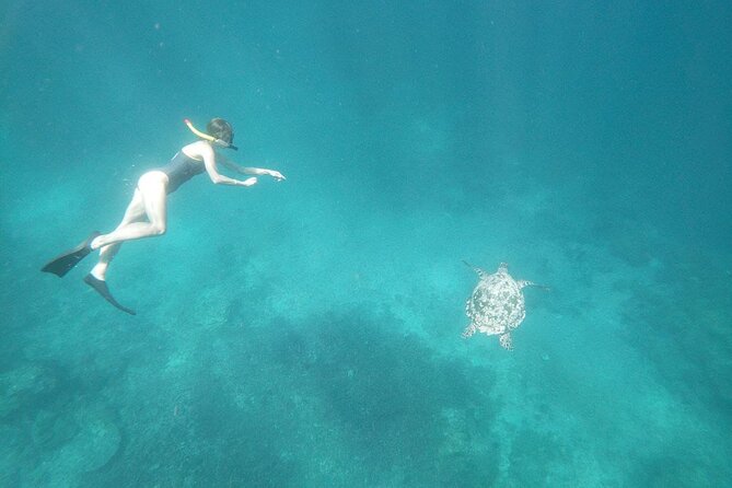 West Nusa Penida With Snorkeling Private Guided Tour - Manta Point and the chance to see rays