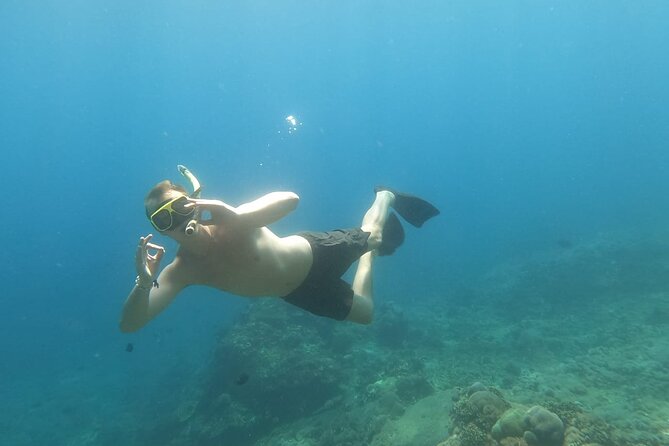 West Nusa Penida With Snorkeling Private Guided Tour - Kelingking Beach and the famous cliff view