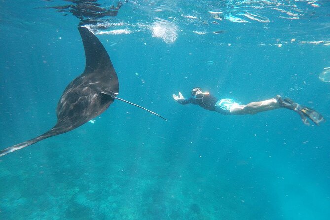West Nusa Penida With Snorkeling Private Guided Tour - Gamat Bay for coral and colorful fish