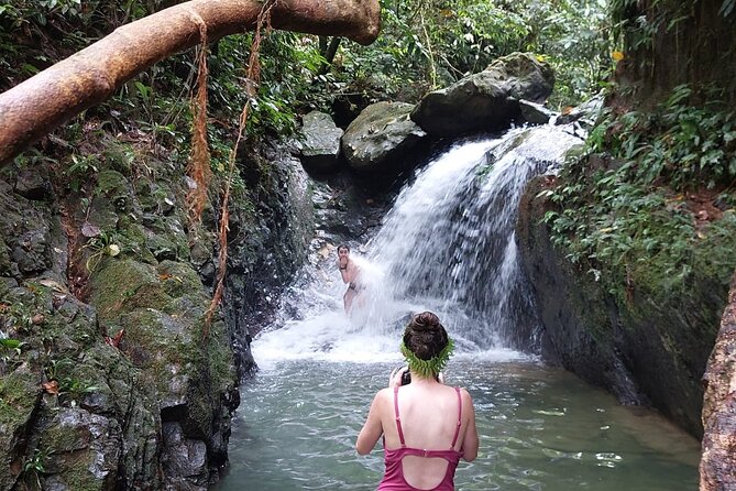 Wonderful 2Days 1Night Bukit Lawang Jungle Trekking Free Rafting - Walking into Gunung Leuser National Park